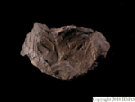 V23d3626 J6q462.1 U821 dM si f310 FROM LoRes.jpg